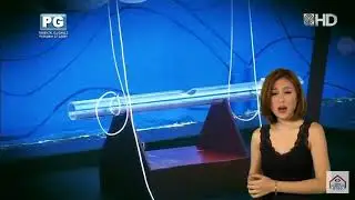 YAMYAM VS. MARK