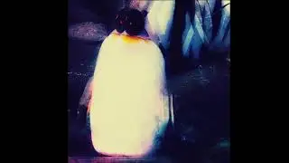 Live Experiments (Avant Synth)