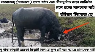 Mahato Rosik puruliaপুরুলিয়া জেলা কেঁন্দা থানারঅন্তর্গত ডাকাকেন্দু(চাকলতা)গ্রামেহঠ্যাৎএকবীর দু দাঁত