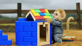 Monkey Farm Work#monkey