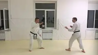 Aikido from front kick