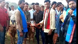 😱👿ଚିର୍ଗୁନମୁହାଣ FILD Sonepur 🔥 top quality sheep show odisha  6 teeth sheep and 2 teeth sheep 😱🔥