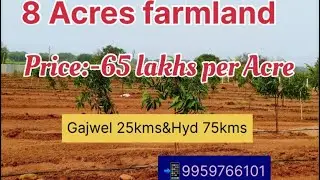 8 Acre farmland for sale 🪴price:-65lakhs per acre