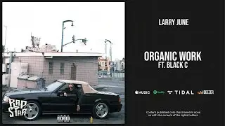 Larry June - Organic Work Ft. Black C (Numbers)