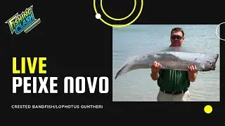 Fishing Clash -  Peixe Novo Lophotus Gunther!!! 2&ordm; Dia!!!