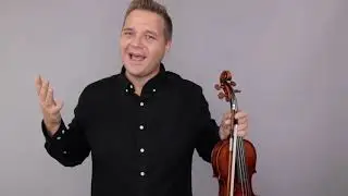 Four Violins for Lauren