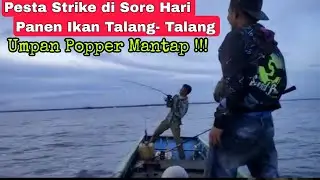 Casting pakai umpan popper panen ikan talang talang@BorneoField_HF