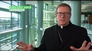 Bishop Barron on the Register . . .