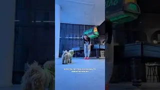 Сколько совпало у вас? Делюсь пастой со вкусом говядины🥩✨ #565448733 брали на wb