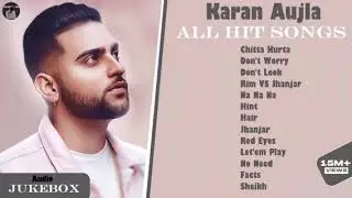 No need||Bollywood song|| India songs|| lofi Hindi beats || Punjabi music