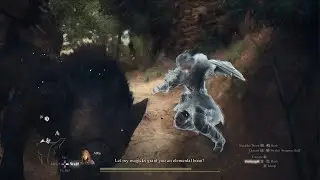 Dragon's Dogma 2- Warfarer ( Fighter Skills only)/Mage vs Garm