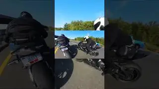 2021 Kawasaki Zx10r VS 2016 BMW S1000RR (Riders same weight)