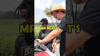 Все уволенные участники MrBeast!