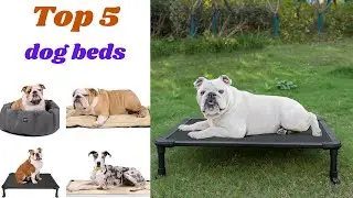 5 AMAZING Dog Beds on Amazon You Need to See