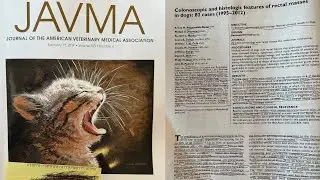 Assessing colonoscopy and biopsy features of dogs with rectal masses | Is there a better way?