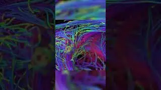 The INSYDIUM Design Team - Dynamic Spline