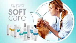 Soft Care - Dental Guard Suave Abras&atilde;o | Como escovar os dentes do pet?