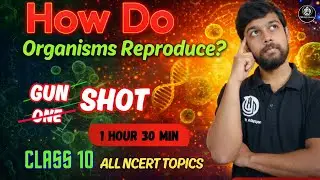 Class 10 Biology How Do Organisms Reproduce | One Shot Full Chapter in 1:30 hour | NCERT CBSE TBSE