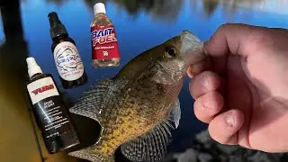 Fish attractant comparison - Yum Baits Shad Scent