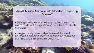 Are All Marine Animals Cold-blooded In Freezing Oceans? - The Marine Life Explorer