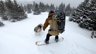 Backcountry Snowboarding with an Alaskan Malamute - GoPro Hero 8 Black