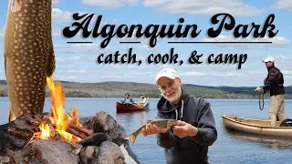 Hammock Camping & Trout Fishing Tips in Algonquin Park