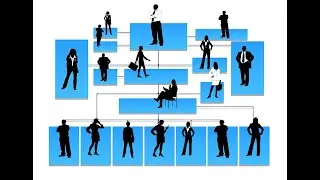 What does a project manager do ? Project Manager Vs Project Sponsor Vs Team Members