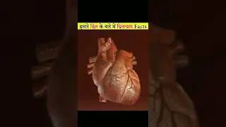 hamari Dil ki fact// p.j king 👑// #pfacts #amazingfacts #viralvideo #pjfacts