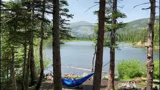 Nederland's Hidden Gem: Hessie Trailhead to Lost Lake | Waterfalls, Wildflowers & Free Shuttle