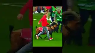 Players vs Animals + Dog 🤯