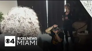 Fort Lauderdale couple turns their passion for photography into small business