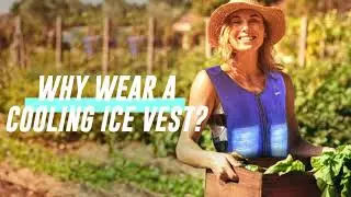 Cooling Vests & Ice Vests: How to Fight Heat Stress and Help Regulate Body Temperature