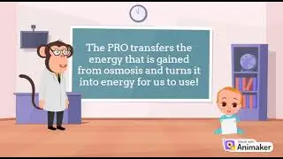 Osmotic energy by Tehila, Michelle, and Hannah