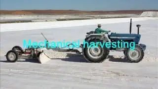The story of salt
