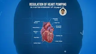 Heart Pumping Regulation Challenge base video-6