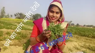 #pinki छोटा सा ब्लॉग मे गई चने का साग 🌺💔💔🌺🌹🌹🙏🙏🥰