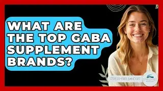 What Are The Top GABA Supplement Brands? - Stress Free Mindset