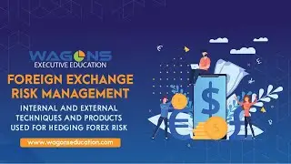 Foreign Exchange Risk Management | Wagons Learning | India