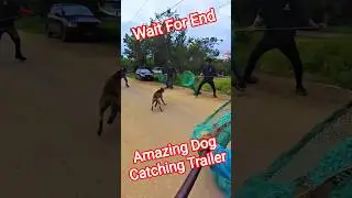 Dog Catching Cartoon Trailer #dogwithpublicsafety #cartoon #fail #dog #ytviral