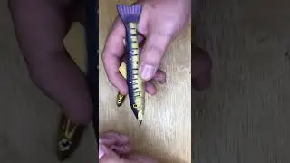 5 strange items from my collection
