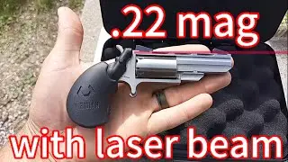 NAA Black widow .22 mag with viridian laser grips