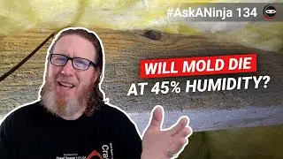 Will Mold Die at 45% Relative Humidity?