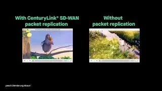 SD-WAN in Action:  How to apply packet replication to improve performance of collaboration tools
