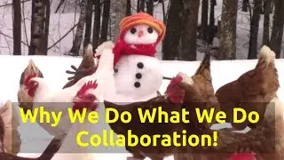 Why Are We On YouTube?  Guildbrook Farm's 