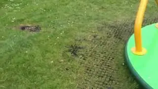 Scooter vs roundabout