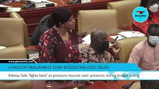 Adwoa Safo 'fights back' as pressure mounts over presence during budget voting