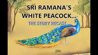Sri Ramana Maharshi's White Peacock-The Story Recast