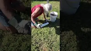 Setting up the flag pole in Florida......