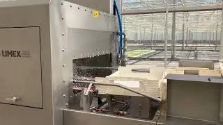 Crate and tray washing machine and foam disinfection Limex