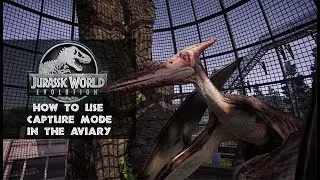 How to Use Capture Mode in the Aviary in JWE